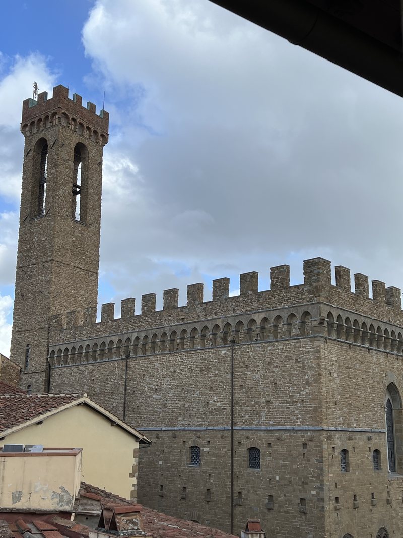 The Bargello's crenellated tower from above