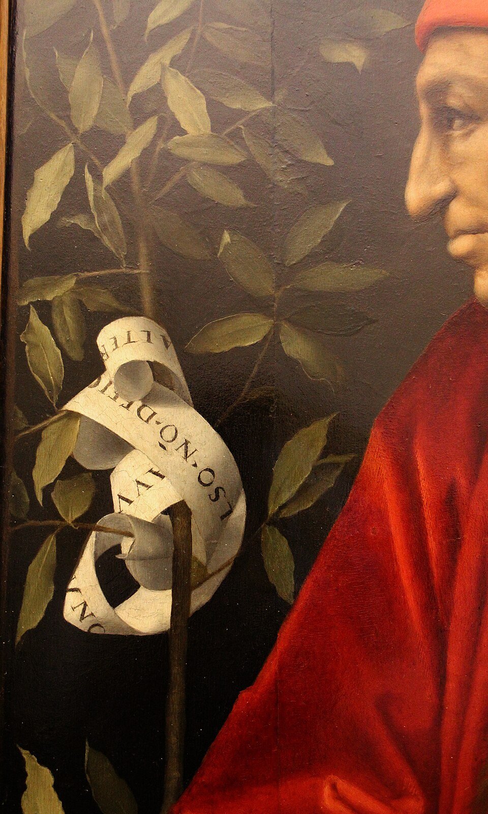 Pontormo, ritratto di cosimo il vecchio, 1519 20, 03
