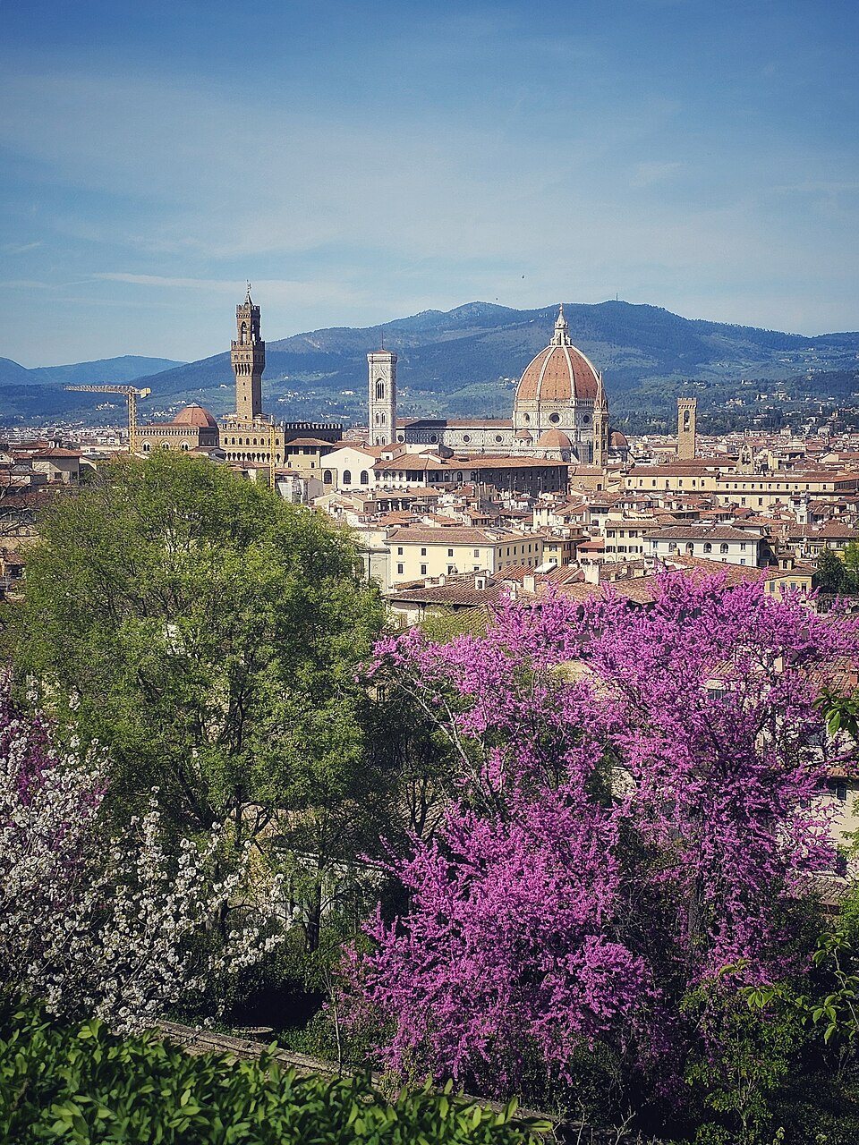 Firenze Villa Bardini 2024 09 10 15 26 05 001