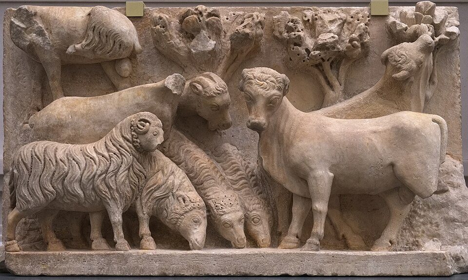 Arnolfo di Cambio, Sheep and oxen, 1296 1300, Museo dell'Opera del Duomo, Florence