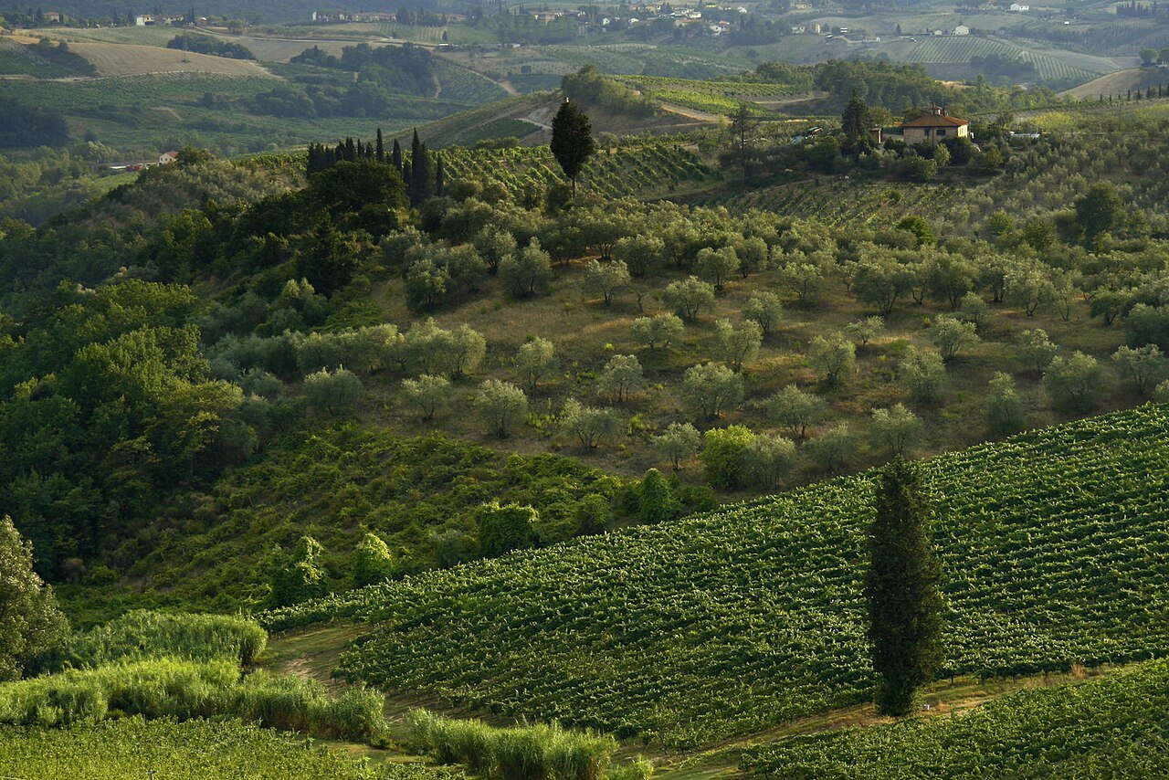A view of the Chianti countryside