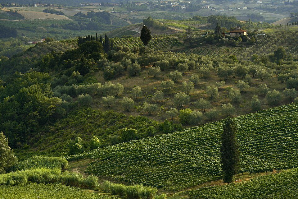 A view of the Chianti countryside